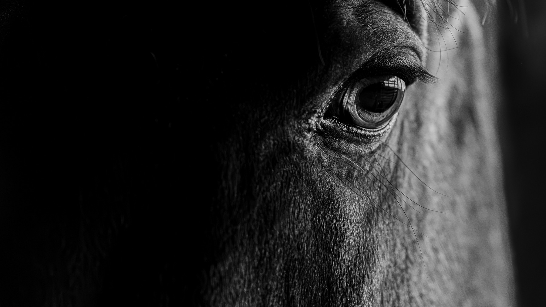 The Shape of Presence